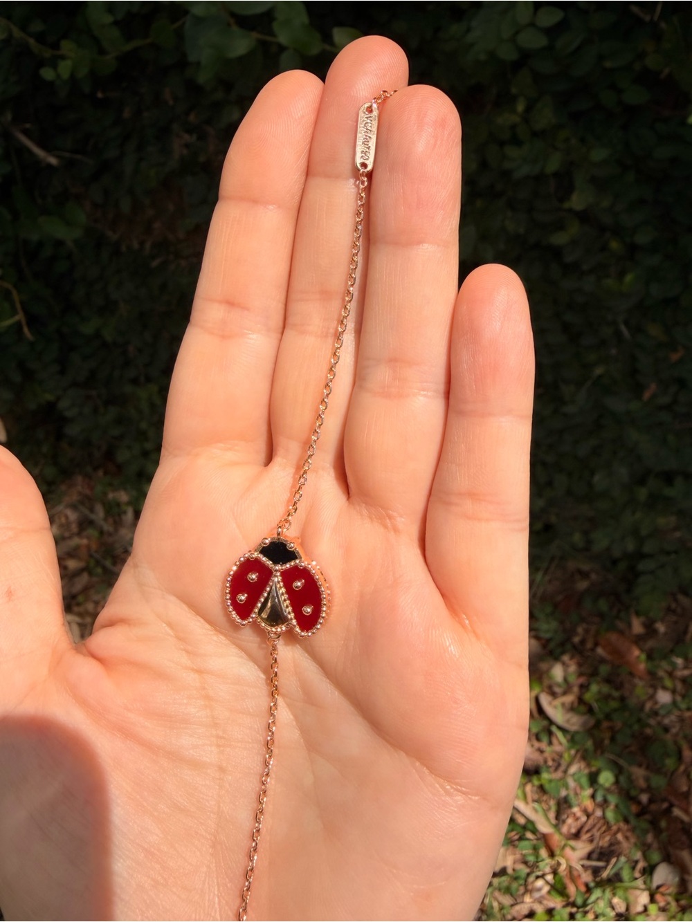 Red Ladybug Charm Bracelet Gold Plated - Picture 4 of 5